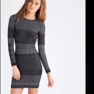 ISO THIS ALEXANDER WANG x H&M DRESS